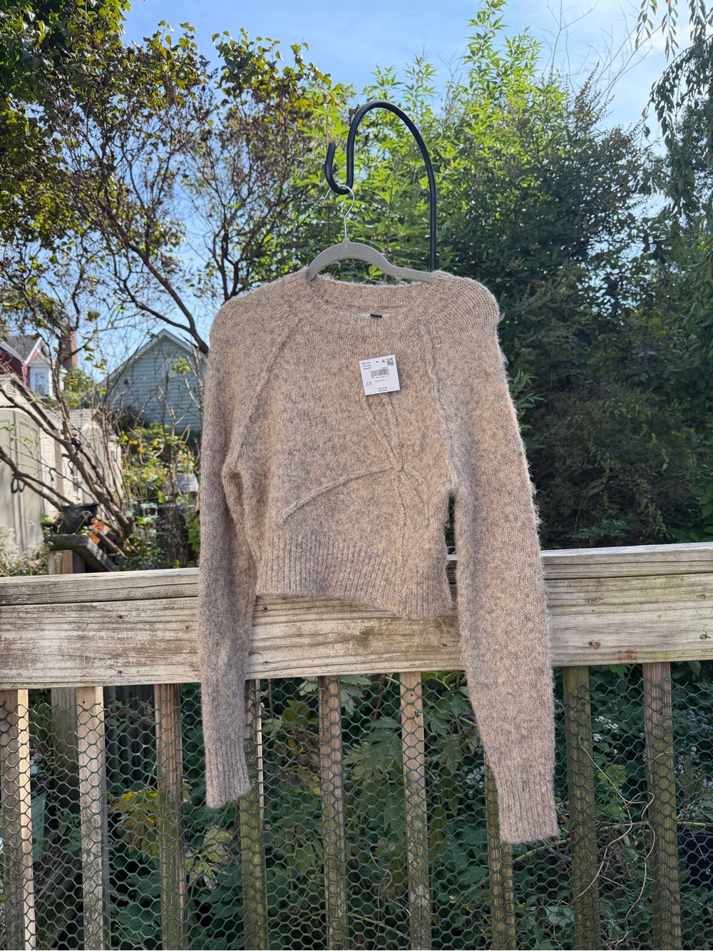 American Eagle Outfitters Ladies Sweater NWT Oatmeal Size XS Crop Long Sleeve